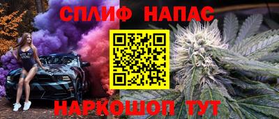 стафф Будённовск