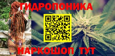 стафф Будённовск