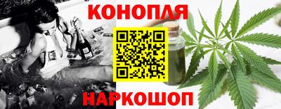 стафф Будённовск
