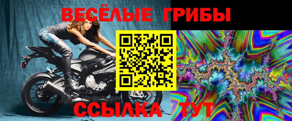 Северск  цена наркотик  Вход с VPN  Галлюциногенные грибы прущие грибы 
